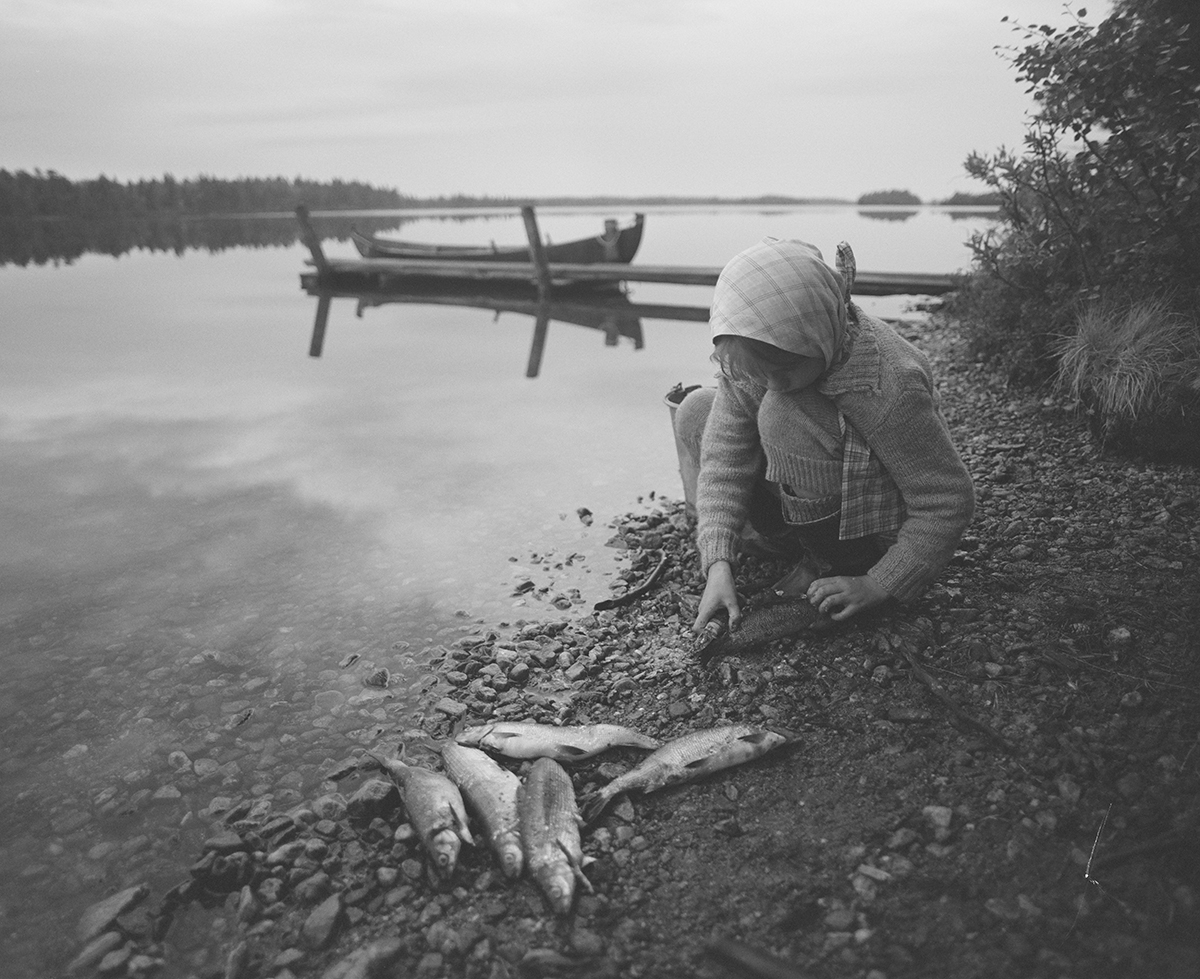Fantastic year for Finnish and Sámi films in Toronto - Suomen elokuvasäätiö