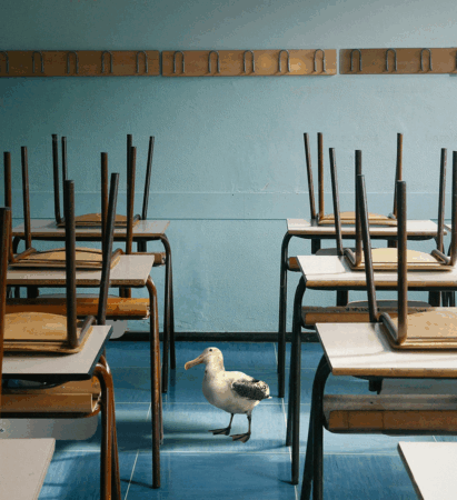 Veera Lamminpään Outolinnut-elokuvan konseptikuva (Rata Motion)